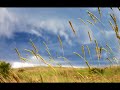 i hope,you will enjoy this relaxing video.song included:diego modena-song of ocarina.