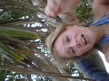 Crazy coconut's