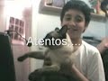 Mi gatito :D Mi gatito :D