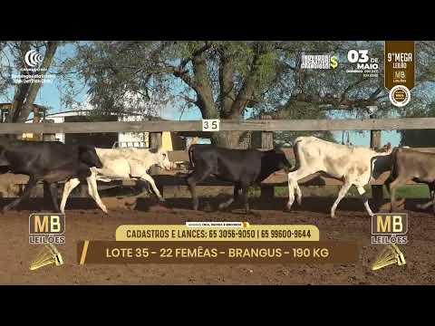 9� MEGA LEIL�O DA MB LEIL�ES
