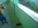 Marcinho =alegria