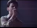 early live video for new life