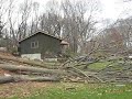 Tree Dropping 3