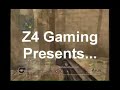 Call of Duty 4 MP44 2