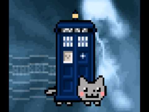 CAT GIF