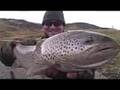 Vis video