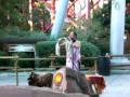 Knott's Berry Farms Indian Music.flv