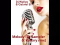 Dj Wallas & Gabriel B. - Melody ( Dj Sampler & Kohary rmx )