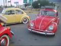 bug riderz 10