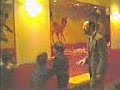 esto es lo que pasa cuando le das tarta y cocacola a un monton de crios.Atención a:-El pedazo baile de MACET-Las artes marciales de Sanch-La desesperación de mi padre