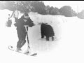 Mysterious paranormal beast creature unexplained real