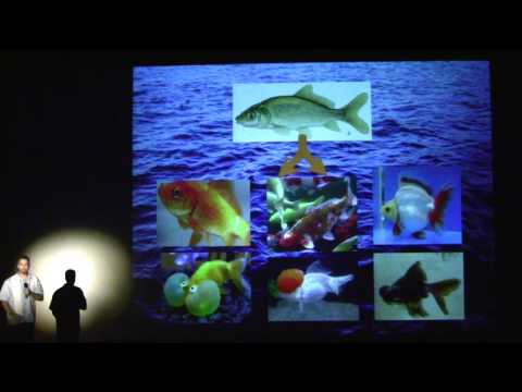 Where Goldfish Come From - Lee LeFever