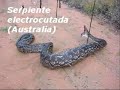 NATURALEZA SORPRENDENTE, NOA