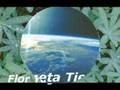 NATURALEZA SORPRENDENTE, NOA