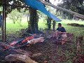 Bohol Lechon Cookin!