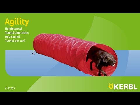 Agility Hundetunnel (#81997)