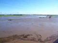 Hunter River flooded at Raymond Terrace