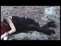 videos de TA20436 (parte de Tube-Adventures 2)