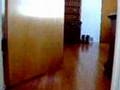 Apartment #2! 