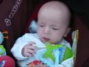 Oscar 4 months Oscar 4 months