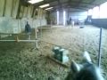 Parcours CSO moi & Kalli