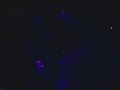 adam-from-tool-screws-it-up-on-the-stage.html
