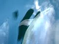 dj-maarten-alle-idioten-zingen-over-boten.html