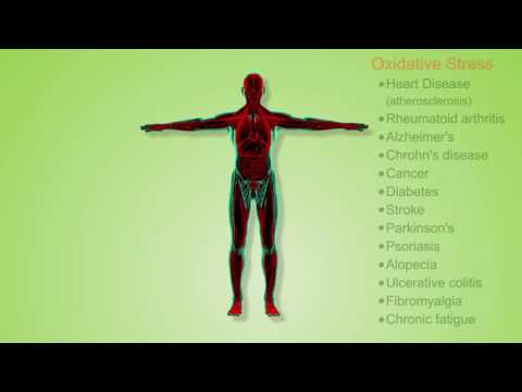 Oxidants and Antioxidants