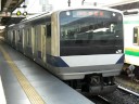 久しぶりに見ました。