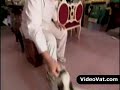panda dog