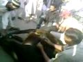 Cow Qurbani 2009 At Korangi (This Video By Shajee-ul haq)