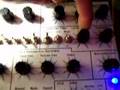 Synthmonger - MFOS SLMS Vs. PG