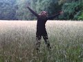 Roos in het graanveld ( commentaar, Lizanne & Marleen)