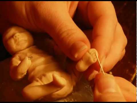 Statue made of techniques foot Baby