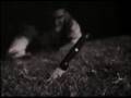 In Absentia (2004) - a psychological thriller like David Lynch's Eraserhead