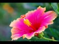 I'D RATHER LEAVEI'd Rather Leave While I'm In Love song Regine Velasquez