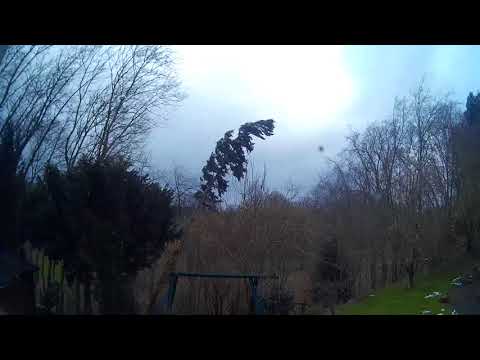 Sturmtief Friederike: 40 Meter BAUM FÄLLT UM - 2018/0 ...