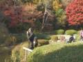 Colors of Japan