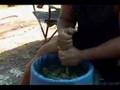 Bubble Bag Hashish From Shake, Leaf or Bud (Part 2 of 8)