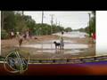 NOTICIAS SONORA, HURACAN NORBERT