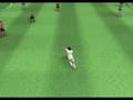 Gol_?_Fifa09