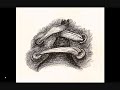 shoe. -Jeff Timlin