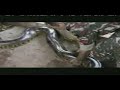 Giant Snake \"Anaconda\" Attack Giant Snake \"Anaconda\" Attack