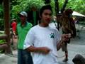 Philippine Eagle Owl