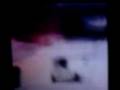 videos de le buzz 2009