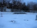 Finnigan at the park.AVI