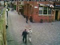 Perplex City BBC Big Weekend Liverpool Webcam 1 Large