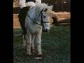 My Babii, Loved And Missed... xxxx