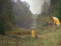 gelbe Dame im Regen | yellow lady in the rain gelbe Dame im Regen | yellow lady in the rain