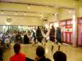 videos de al arab en la sociedad libanesa 2008
